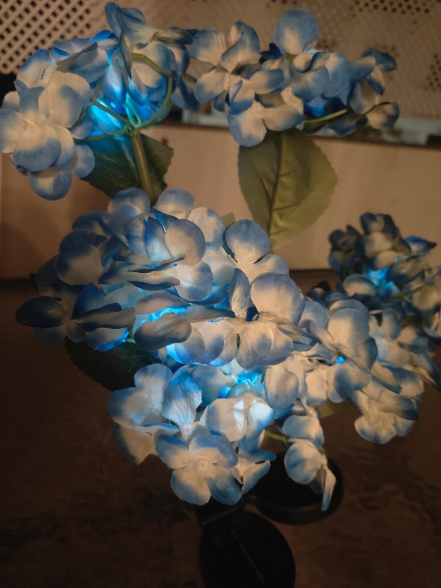 Aquamarine *